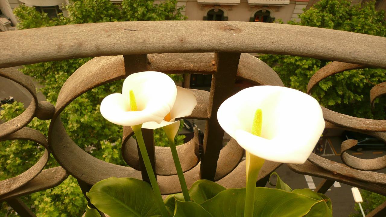 Balcones Y Vistas En El Centro De La Ciudad Appartement *